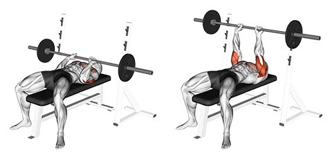 Barbell Bench Press Close Grip 