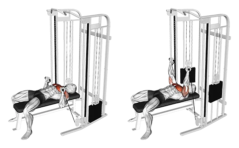 Cable Bench Press
