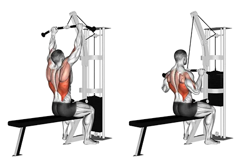 Cable Lat Pulldown