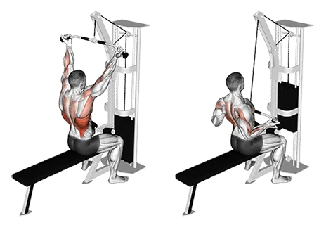 Lat Pulldown Reverse Grip