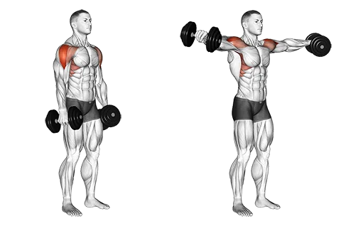 Dumbbell Lateral Raise