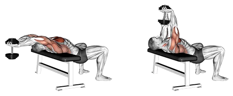 Dumbbell Pullover