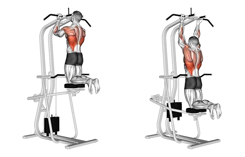 Assisted Chin-Up