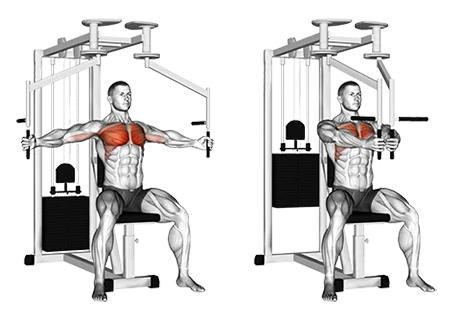 Machine Chest Fly