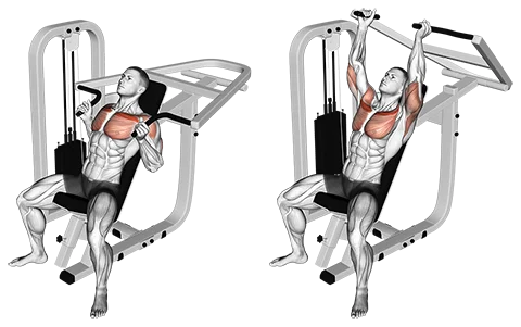 Machine Incline Chest Press Hammer Grip