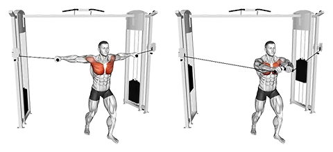 Cable Chest Fly