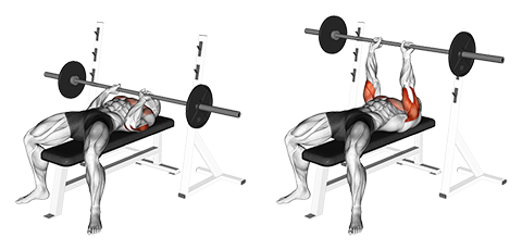 Barbell Bench Press Close Grip 