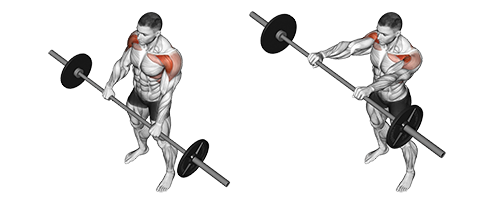 Barbell Front Raise