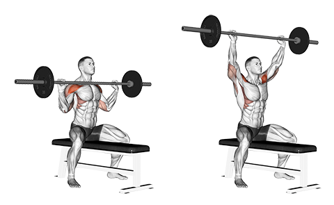 Barbell Overhead Press