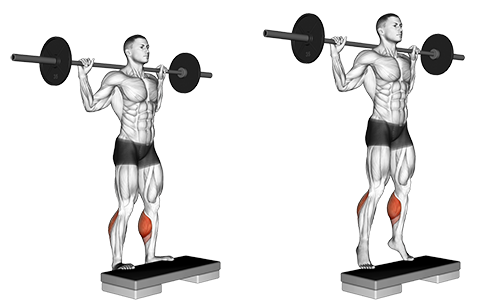 Standing Barbell Calf Raise