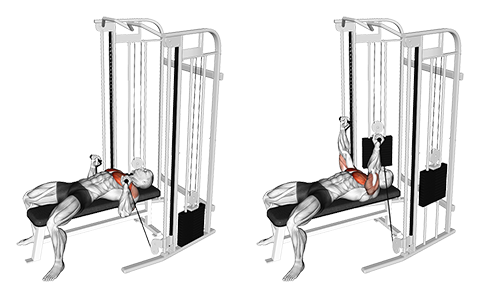 Cable Bench Press