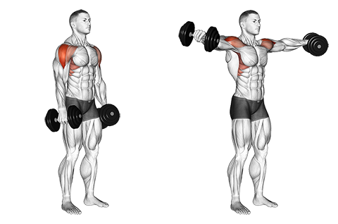 Dumbbell Lateral Raise