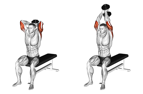 Dumbbell Triceps Overhead