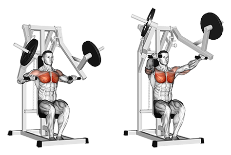 Plate Loaded Bench Press