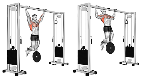 Weighted Pull-Up