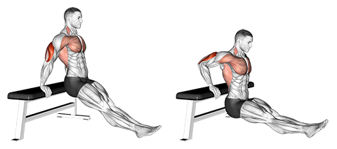 Chair Triceps Dip