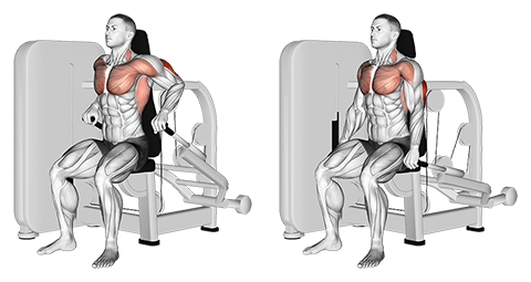 Seated Machine Triceps Dip