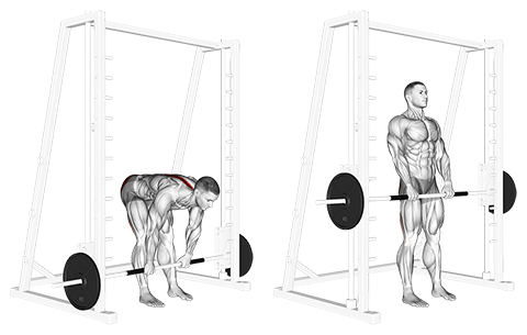 Smith Machine Romanian Deadlift