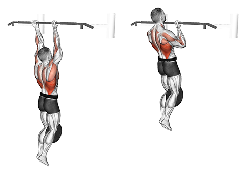 Weighted Chin-up